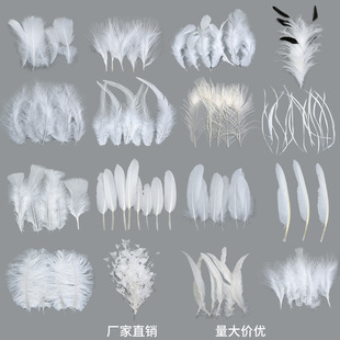 �S�����l��ɫ��ë���N�Zë���uë�ֹ���ë�b��Ϸ��b�o���Ʒ