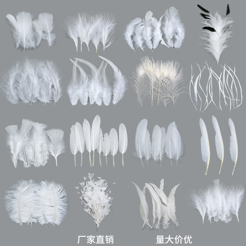 Manufacturer Wholesale White Feathers Hot Selling Goose Feathers Turkey Feathers Handmade Feathers Decorative Materials Clothing Accessories