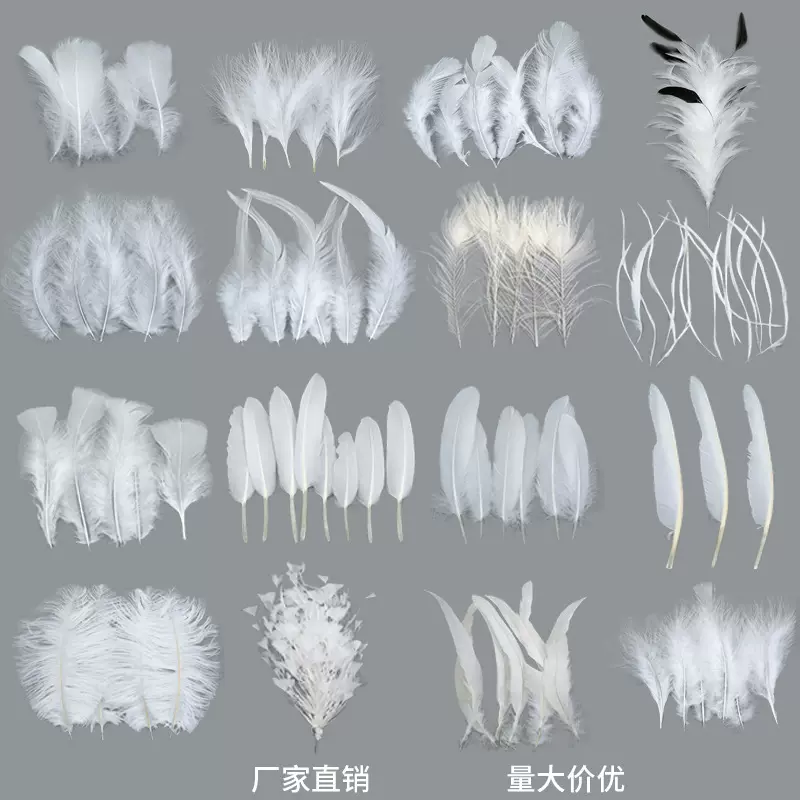 厂家批发白色羽毛热销鹅毛火鸡毛手工羽毛装饰材料服装辅料饰品