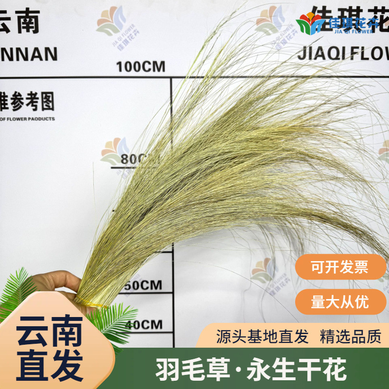 Dried Feather Grass, Real Flowers, Wedding Decoration, Leaves, Decorative Grass, Mall Decoration, Clothing Store Landscaping, Floral Arrangements, Pastoral Style Dried Feather Grass, Real Flowers, Wedding Decoration, Leaves, Decorative Grass, Mall Decoration, Clothing Store Landscaping, Floral Arrangements, Pastoral Style