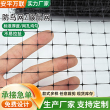 �߲˴���������W�~�����B�W��W���ѹ��@���Ҙ���o���B����