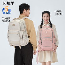 �������L�ٕ���5�S�pؓ�ЌW�����и��д����������־��p���Ů