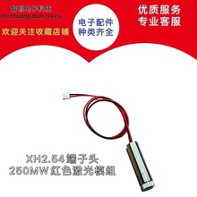 250mW大功率激光模组 红光激光diy雕刻650nm红色激光器激光镭射头