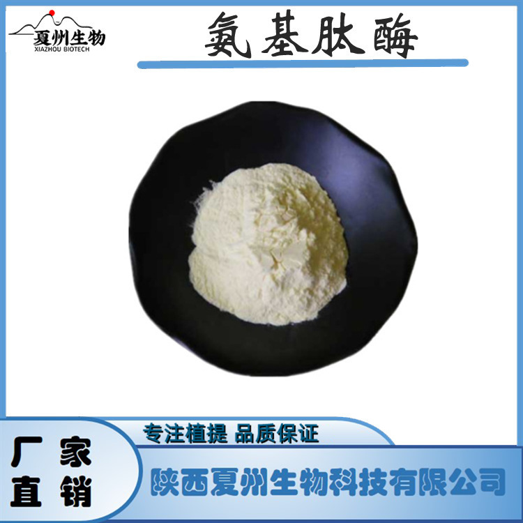 氨基肽酶 氨肽酶 酶制剂 9031-94-1 夏州原料 现货 1kg