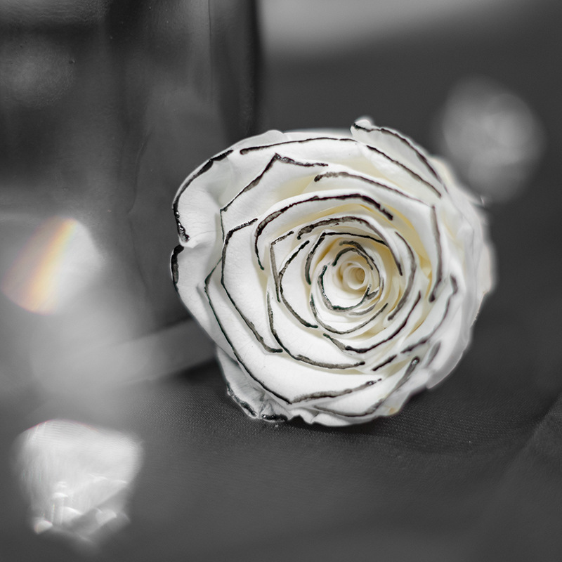 Yunnan eterna flor Rosa cabeza delineador de ojos al por mayor Rosa fragancia oro plata fresca rosa