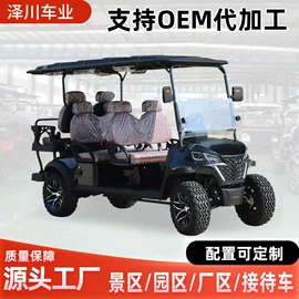 其他电动车;电动观光车