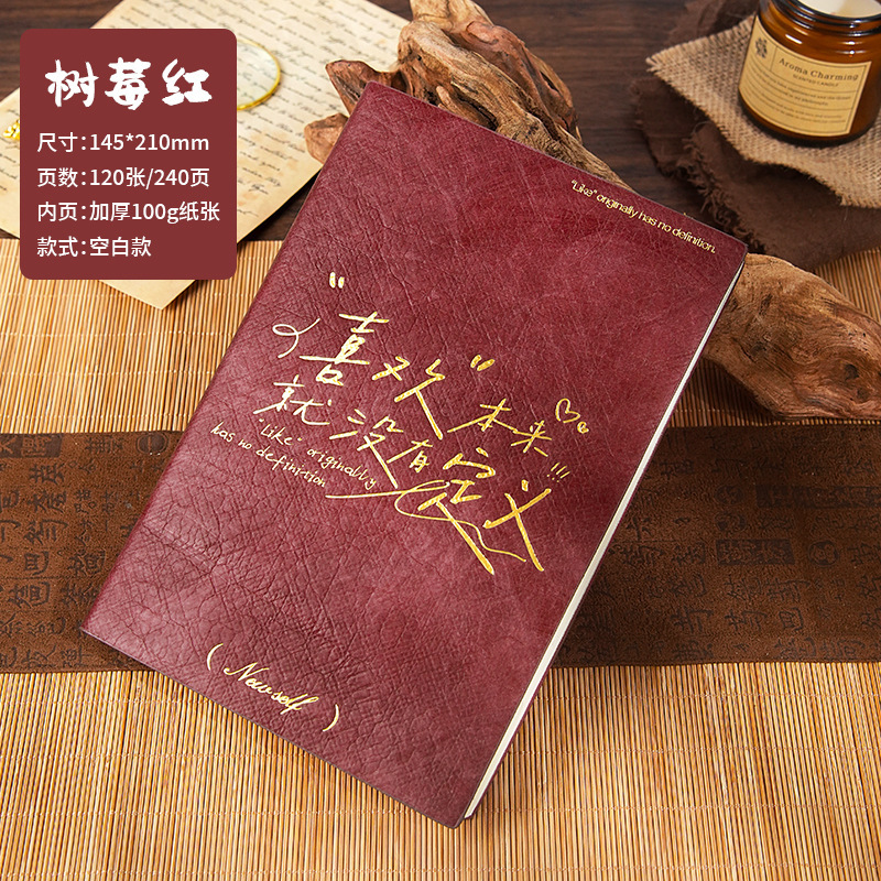 A5便携杜邦笔记本励志文字简约高颜值烫金手帐记事本笔记本可定制|undefined