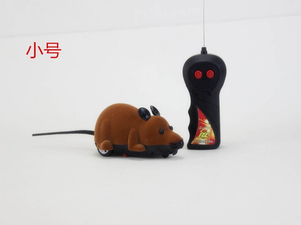 작은 사이즈, 브라운 색상