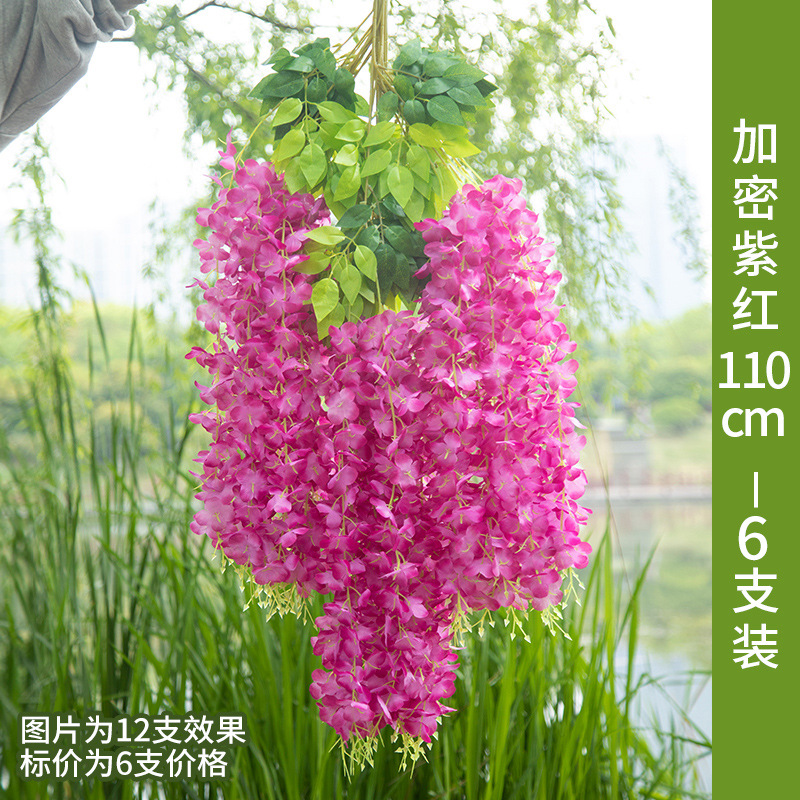 Purple red upgrade encryption 6