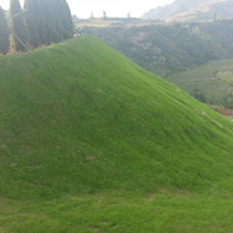 秸秆稻草生态绿化抗冲生物毯植物纤维毯 植草护坡椰丝毯