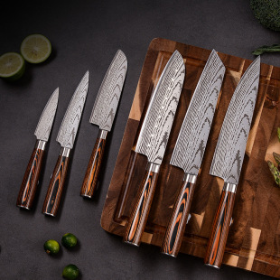 Laser Engraved Kitchen Knives Stainless Steel Cooking Knives Sushi Home Chef Knives Sharp Six-Piece Set in Stock Manufacturer