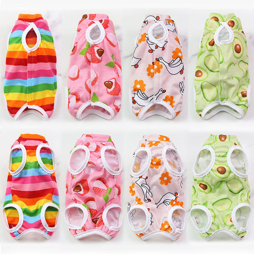 Cat spay surgery postoperative fruit series four seasons pet clothing supplies for small and medium dogs all-inclusive