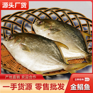 �����K�~���l���r���r���  �F������~Ұ��ˮ�a�a�ذ��]