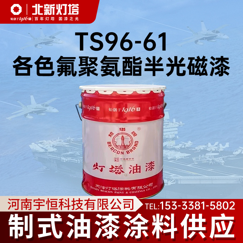 灯塔涂料 TS96-61各色氟聚氨酯半光磁漆 用于飞机 钢结构 车辆等