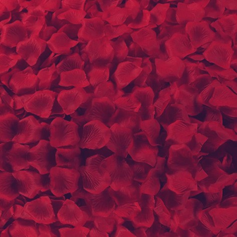 Burgundy, 100 pieces