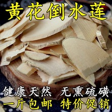 中药材黄花倒水莲根干切片500g倒吊黄花参观音串根月子茶