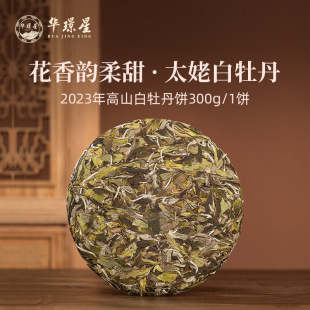 �A�Z��2023�긣���ײ���ǰ�߼���ĵ�����̫��ɽ�a�^�S�����l����