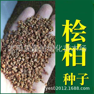 �²əu�طN�әu�A�ش̰ؼt�İ�����طN���ӈ@�־G���е���N��