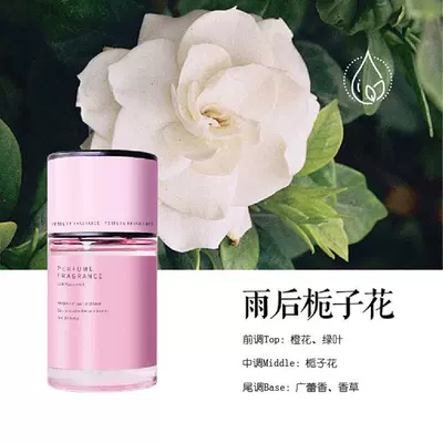 In-Stock Gardenia Flower Scent Car Fragrance, Odor Removal, Long-Lasting Fragrance, High-End Decoration, Car Perfume, Factory Direct Sale (Car Perfume Aromatherapy) - gardenia-after-the-rain-restore-the-fragrance-of-gardenia-berlin-girl-style-120ml