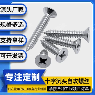 定制304不锈钢自攻螺丝大全十字沉头自攻丝平头自攻螺丝钉M3M4M6