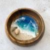 Sea world in a bowl-shells