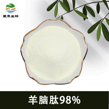 ���X��98% С���ӻ����� ���X�;��� ���X�ķ� ��̹��� �gӭ��ԃ