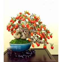 �����������Ϙ�����������Ә��辰���ܾGֲ