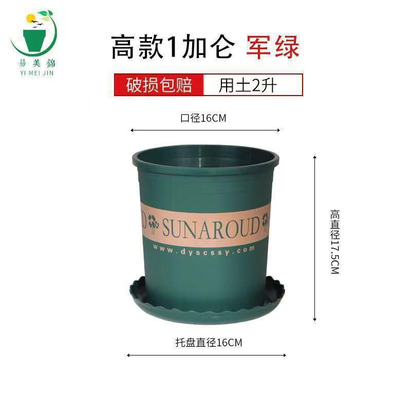 Tall 1 gallon [diameter 16cm] 1 pack / With tray