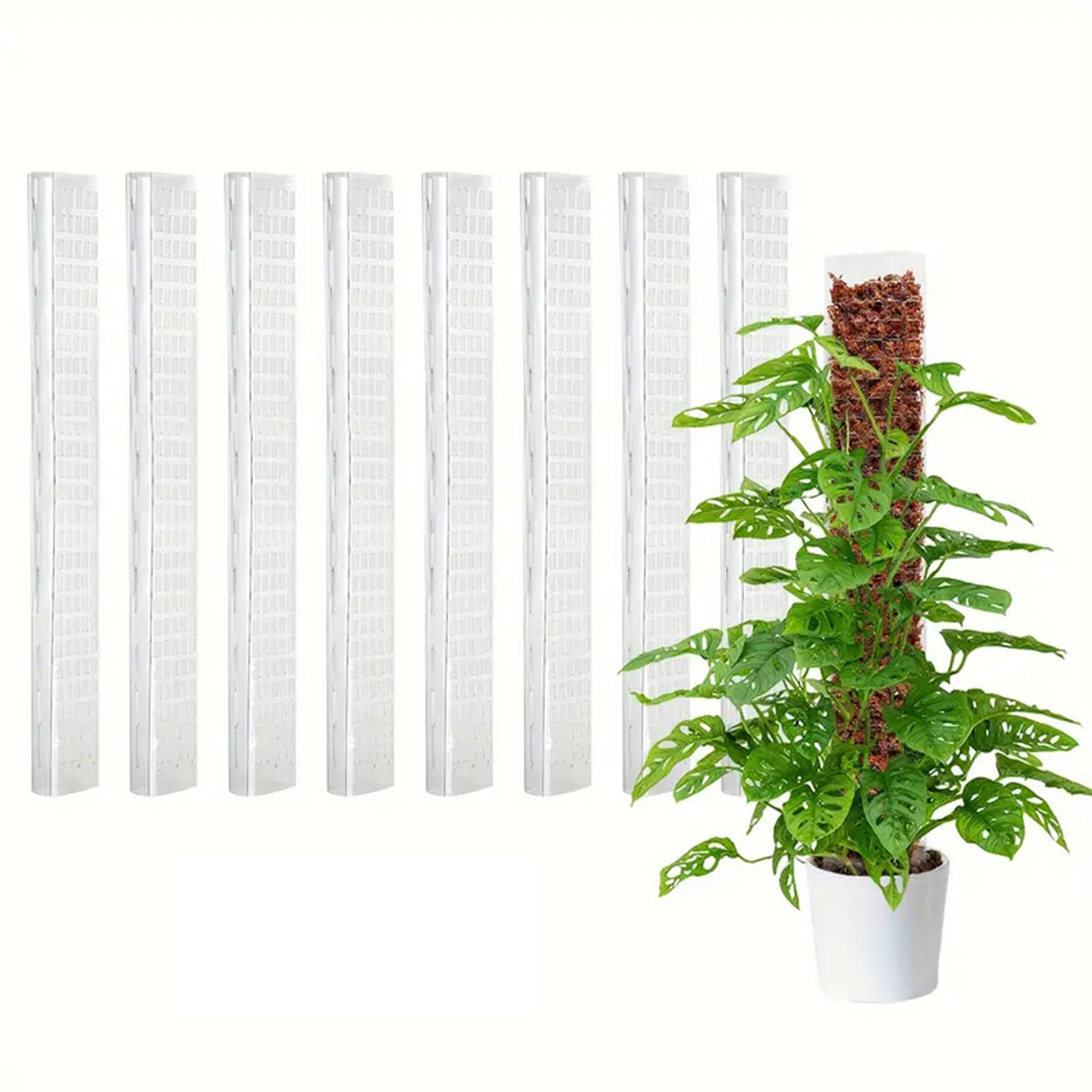 透明可拼接水苔柱苔藓棒植物攀爬杆爬藤椰棕棒定形棒绿萝园艺支柱