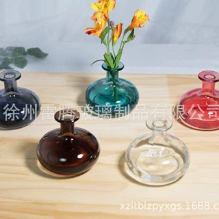 网红法式复古迷你小口径玻璃花瓶ins风透明水培插花桌面装饰摆件