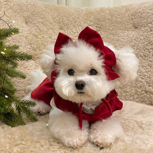 Small dog Christmas princess dress Autumn and Winter Teddy Bichon Frise Pomeranian small dog pet cat clothes winter