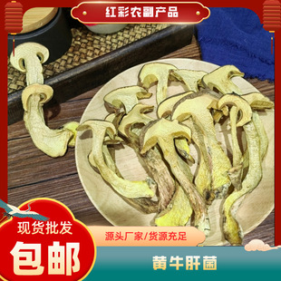 ����خa�Sţ�ξ���؛���l ���[�t�[ˮ���[�Sţ�ξ��a��ֱ�l