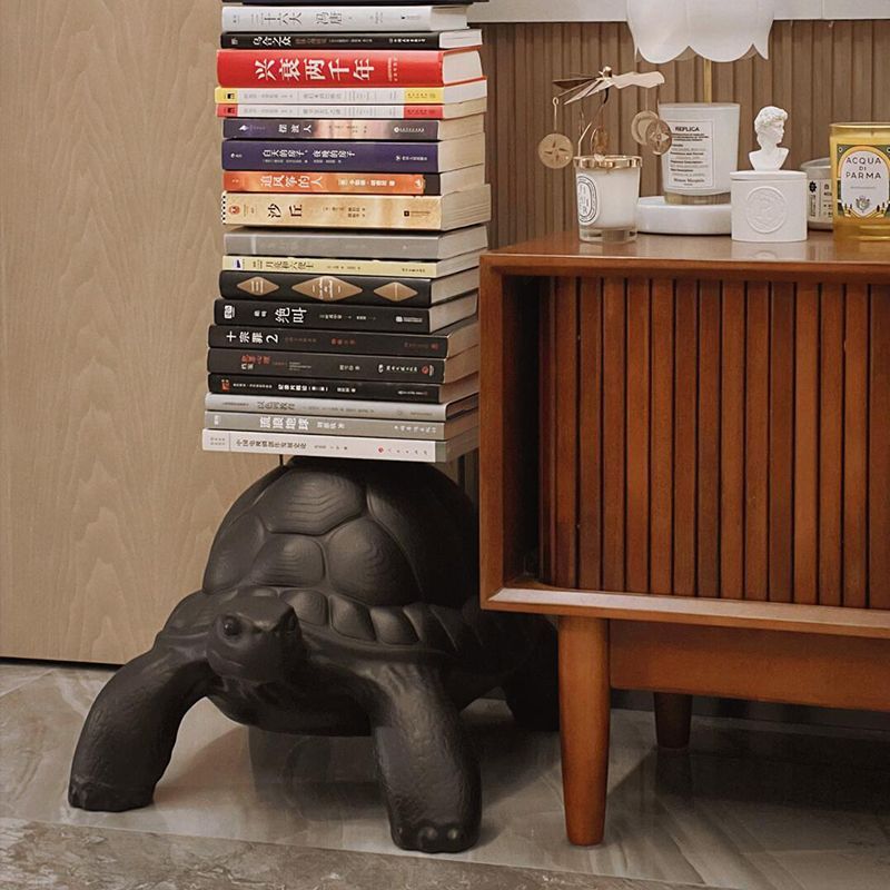 Designer Mid-Century Style Turtle Creative Bookshelf Modern Fashion Living Room Artistic Magazine Rack Children's Small Bookcase