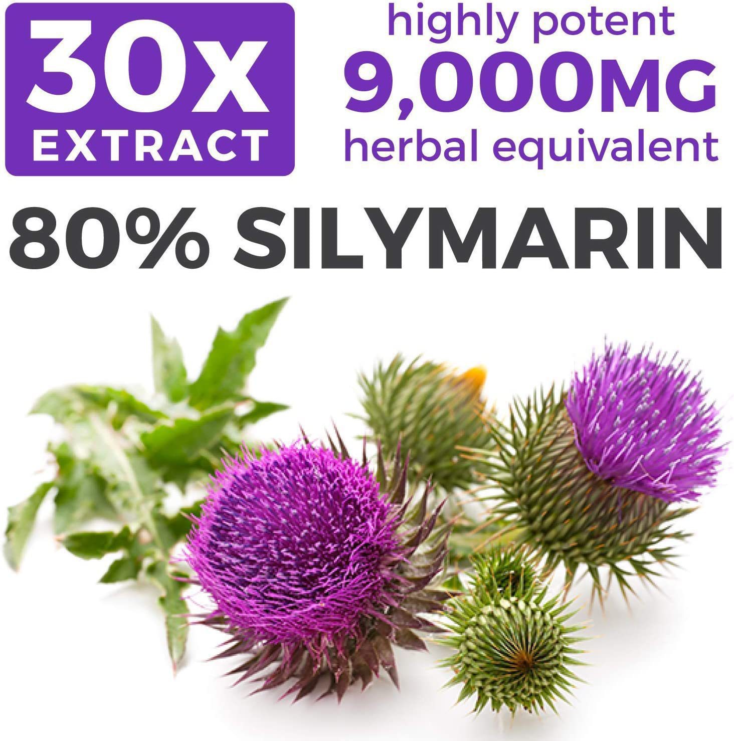 Milk Thistle Capsules Milk Thistle Seed Extract Vegetarian 60 Pigs…