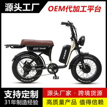 ���S�羳���l ��̥Ħ��늄�����܇ 48V/20AH�늳� ���L�m��