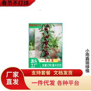 ����������Ҙ��� ��6�޽Ӱ������������� �̻����������