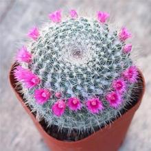 �������������_���҃������k������X���Gֲ�̨Сֲ�������ƶ���