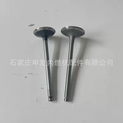 4995554, exhaust valve – Valves and components