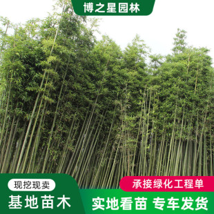 ������ͥԺ�ļ����������������ϱ����ͺ����ֲ�﹤�̾G��ë��