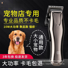 ���I������ë��������Ƽ���ë����Ȯ��������ӌ������؈��