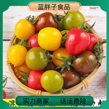 彩色聖女果新鮮櫻桃小番茄黃色紅色綠色迷彩4色混裝小西紅柿