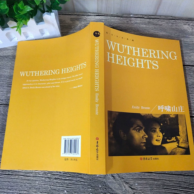 Уэзеринг HEIGHTs(Утеринг Хайтс) чисто английская версия оригинал английский оригинал всемирно известные произведения