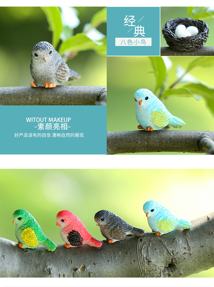 八色小鸟_05
