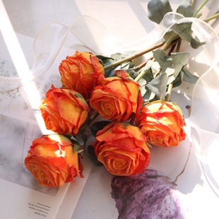 Fire Roasted Rose Burnt Edge Rose Home Decoration Ornaments Wedding Photography Props