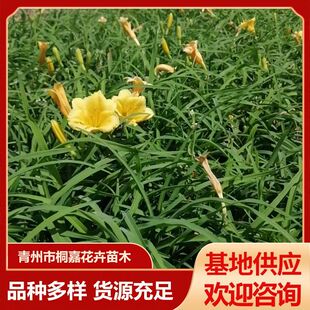 ���lС�^�G�����^�p����� ��������ݼt������^�p�����ݻ���