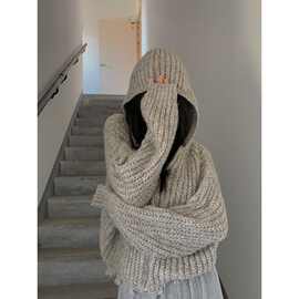 2026年秋冬季新款韩版宽松慵懒开衫洋气带帽子针织衫外穿连帽毛衣