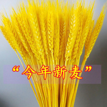 �S��������_�I�����S��ֱ�N�����ɻ�10000֧���l�r��