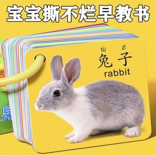 Animal Card Early Education Enlightenment Book Cognitive Card Infant Baby Children Educational Literacy Look at the picture and recognize the object toy