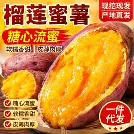 糖化红薯榴莲蜜薯黄心地瓜新鲜整箱批发食品加工餐饮专用量大从优