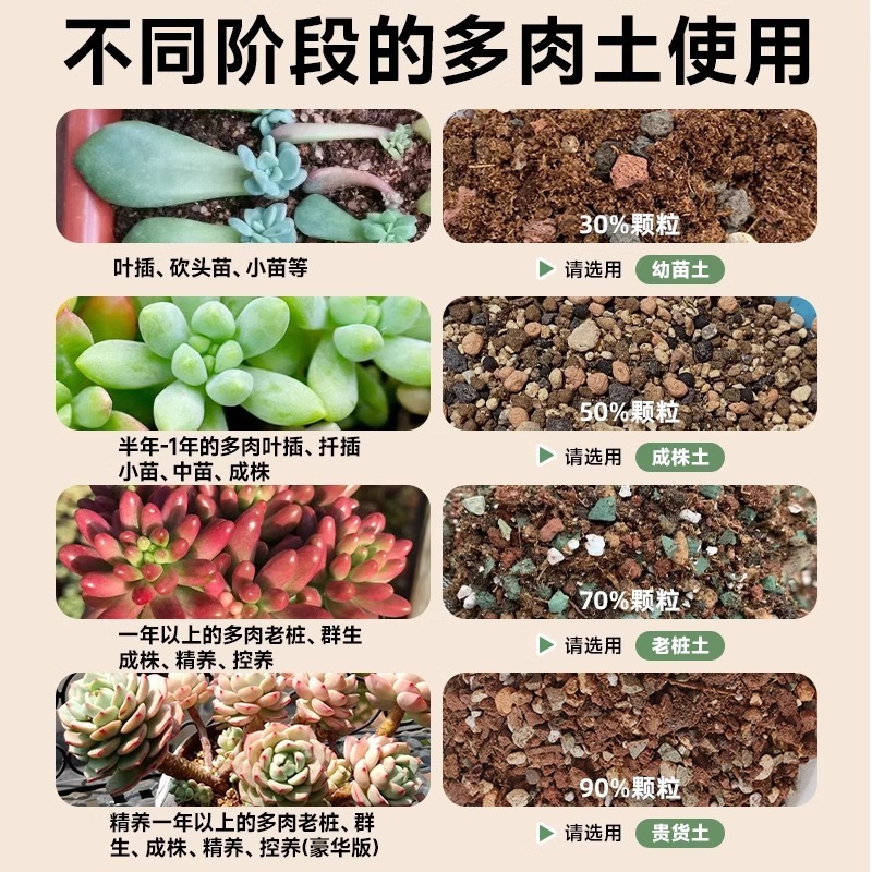 多肉植物粒土、特殊栄養土、医療石、一般花植物多肉植物土、カラフルな小石舗装|undefined